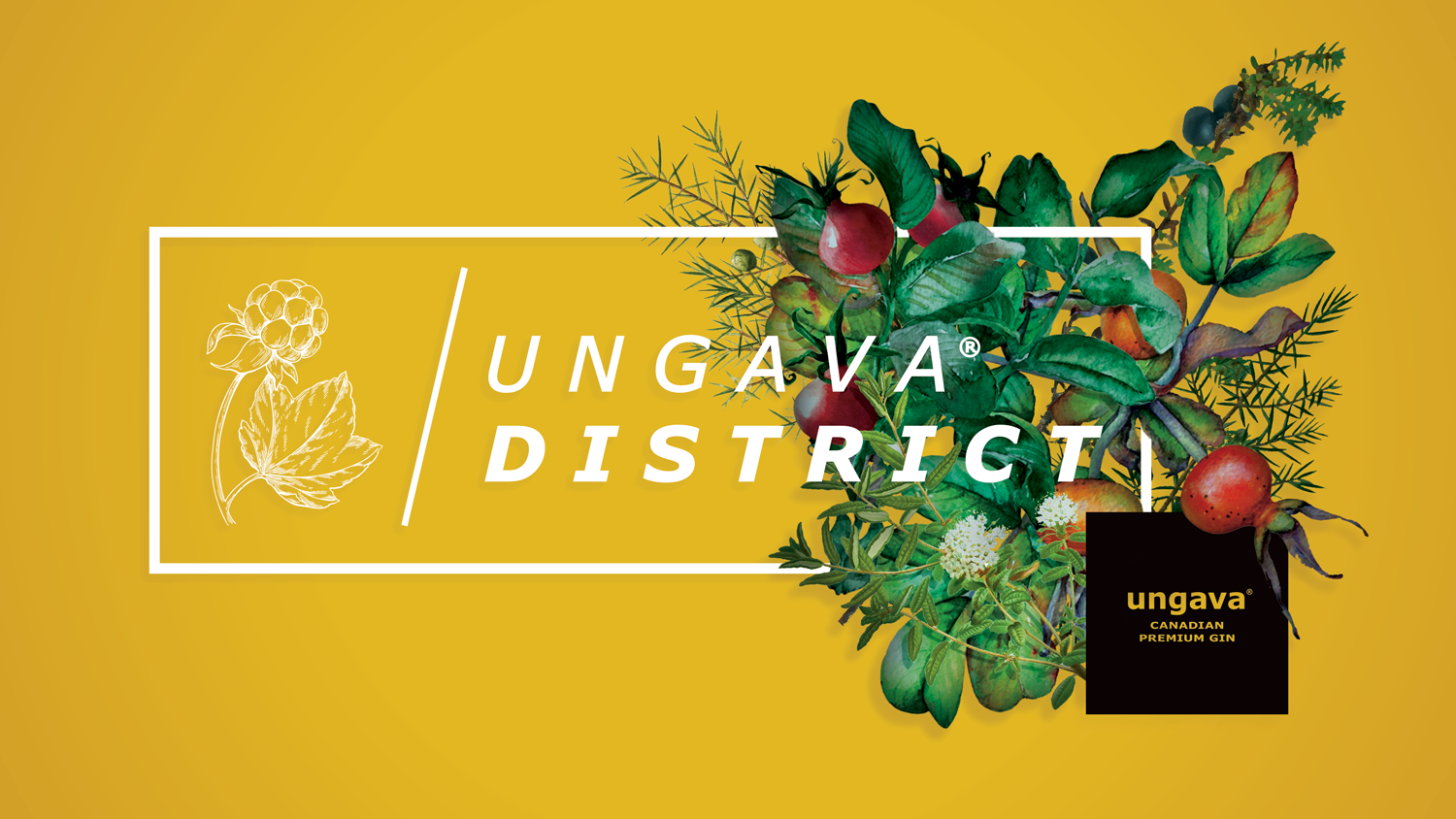 UNGAVA_ID_01.png
