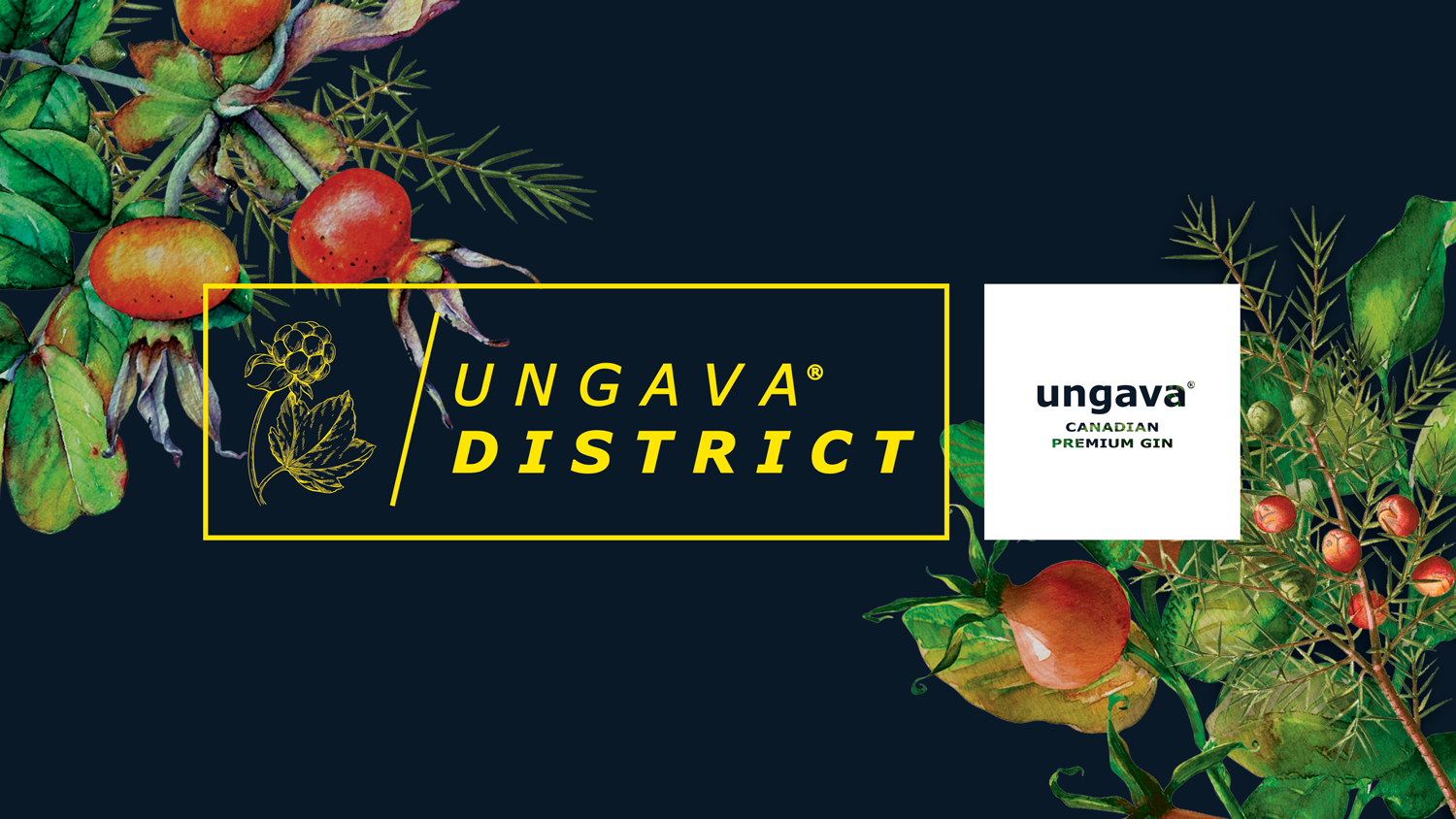 UNGAVA_ID_02.png