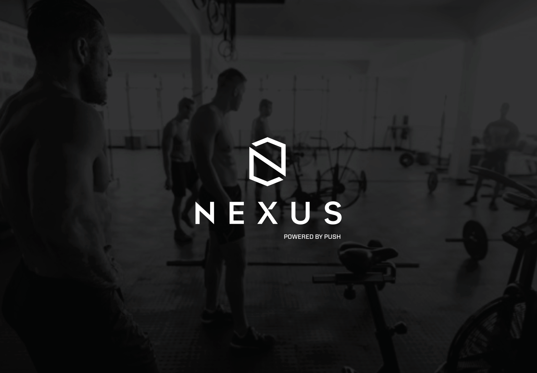 NEXUS Brand Guideline v1_Page_07.png