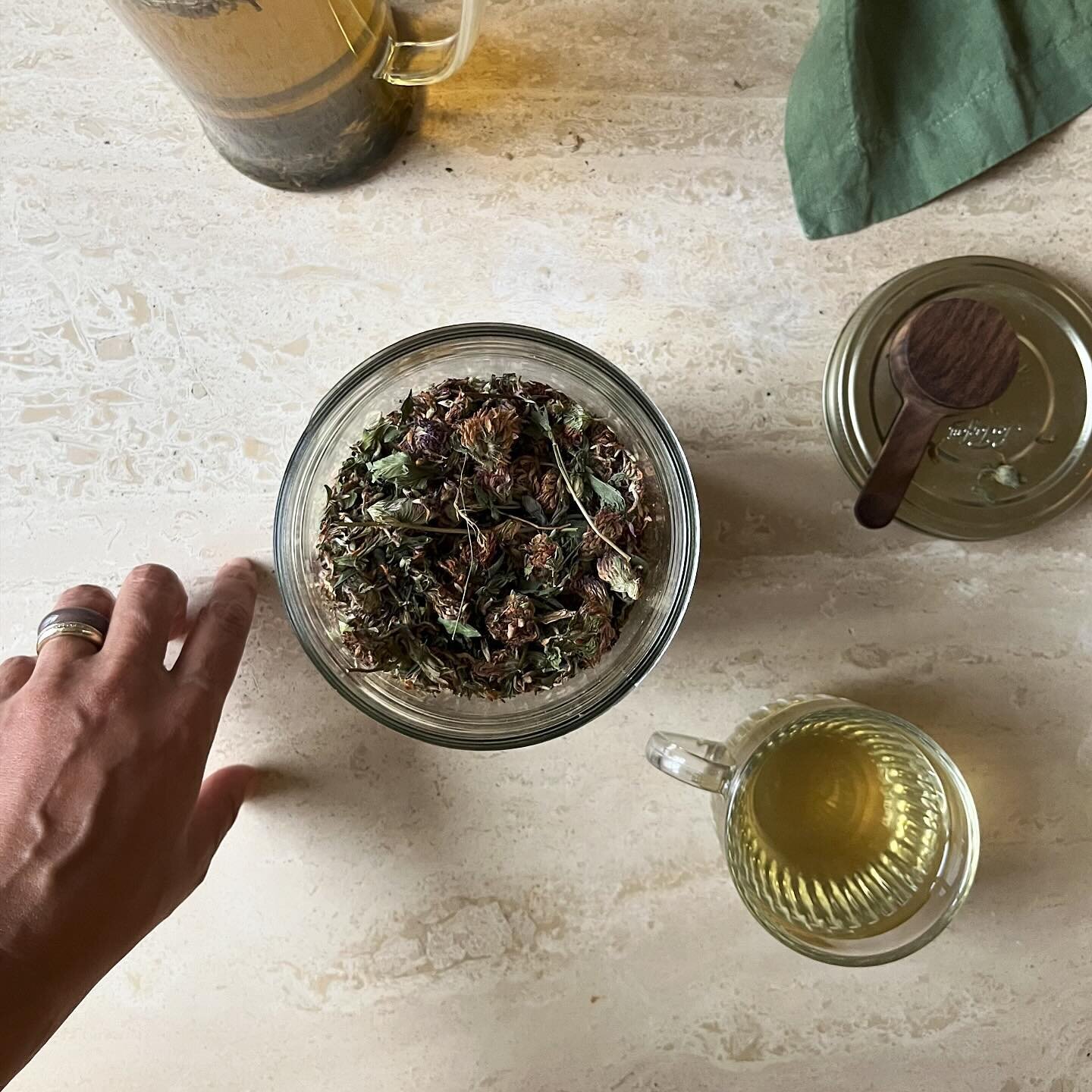 Pretty red clover blossom tea&hellip;

A herb known for its phytoestrogens and hormone-supporting benefits. Although more research is needed in relation to red clover reducing cycle and perimenopause symptoms, I find it a beautiful, balancing tea. 

