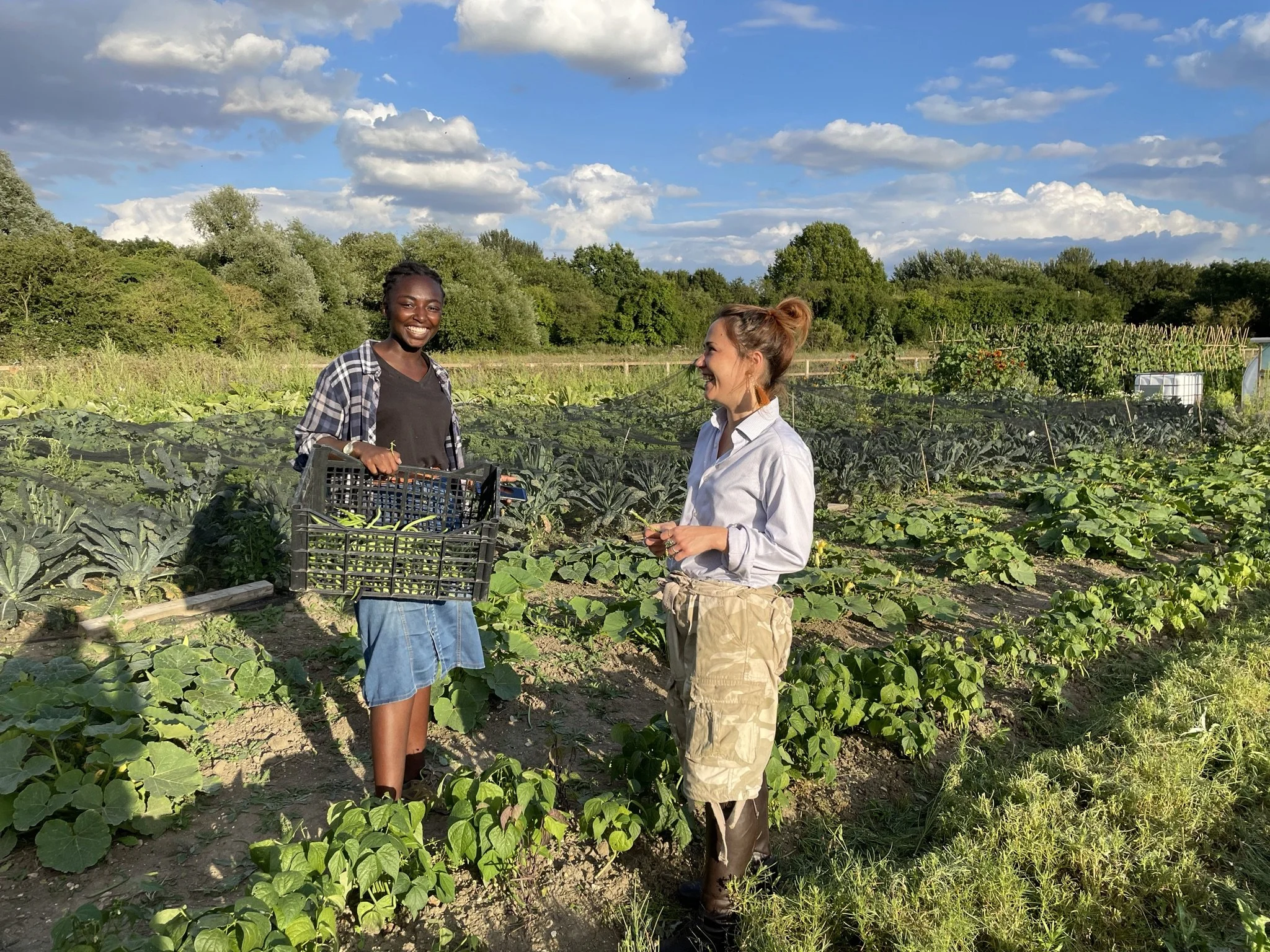 University study highlights co-farming benefits!