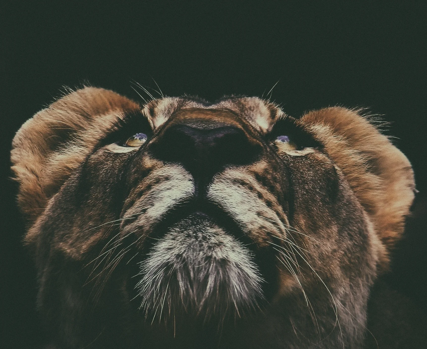prince-david-454229-unsplash.jpg
