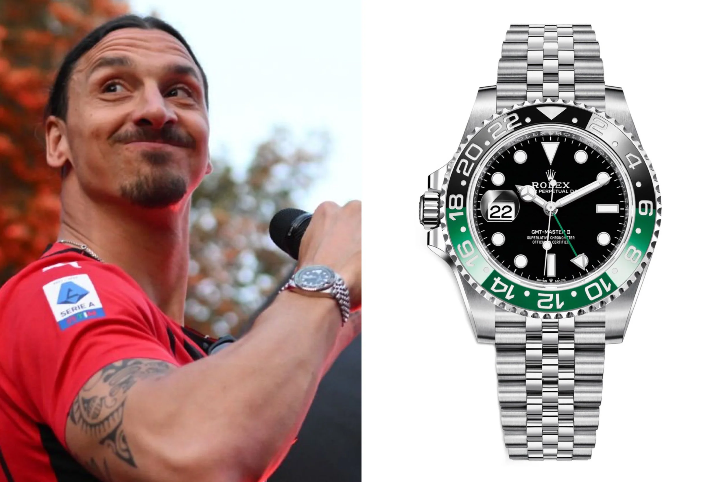 Master Wrist Master II Bonus Left Hand ( Large