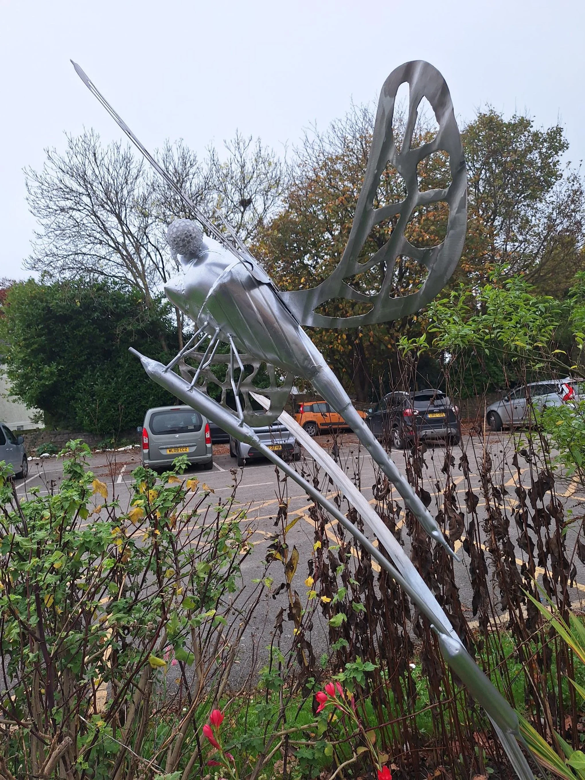 20241105_134422.jpg