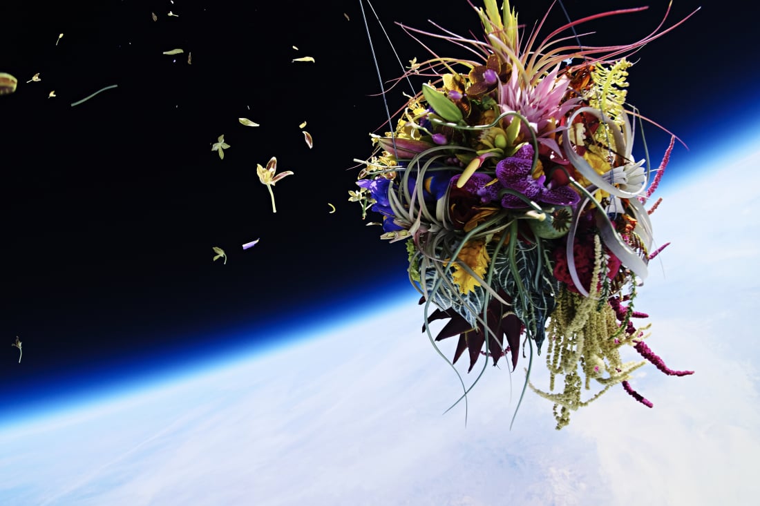 Makoto Azuma, Exobiotanica, 2014