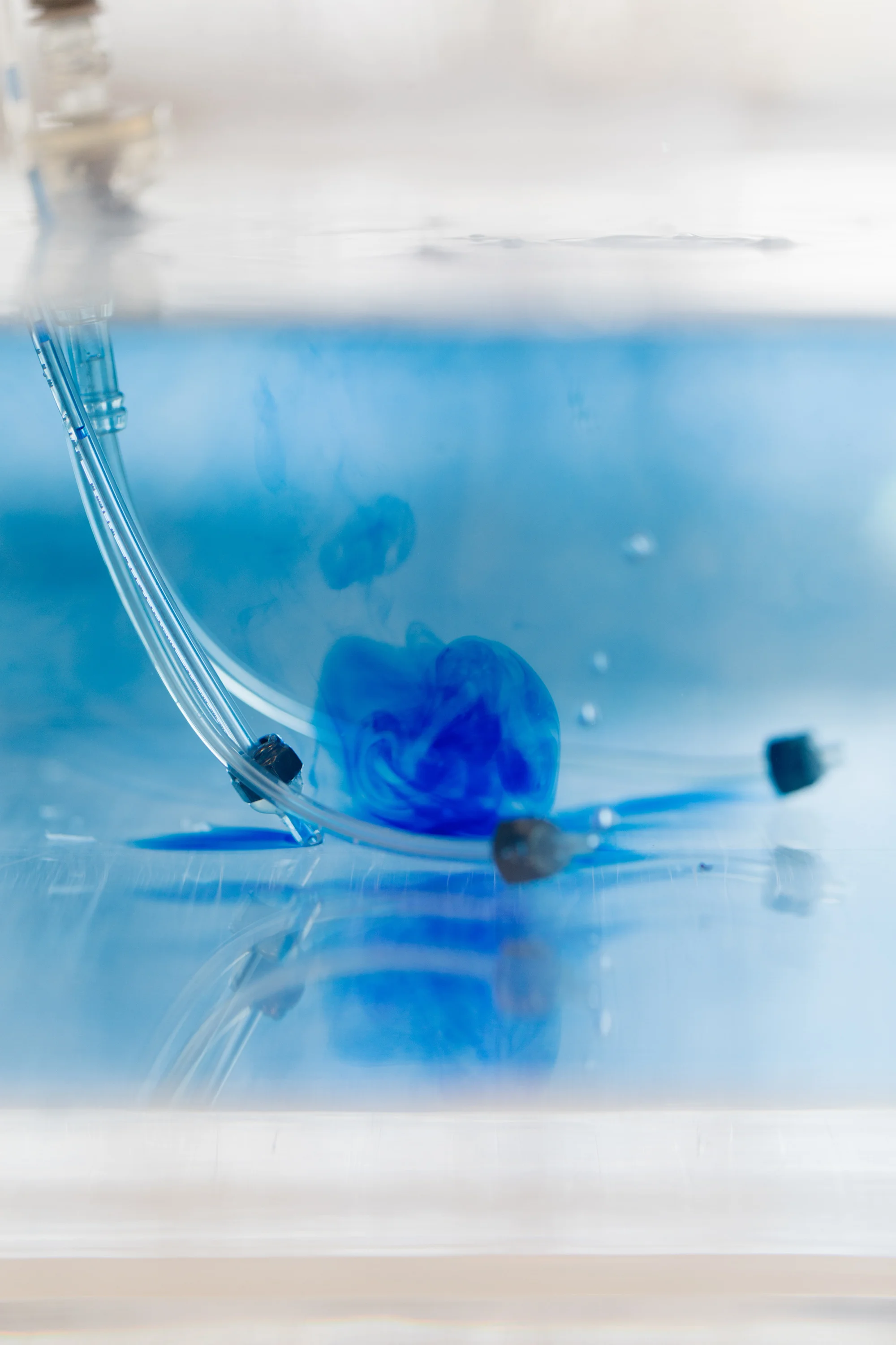 Victoria Manganiello and Julian Goldman: Computer 1.0