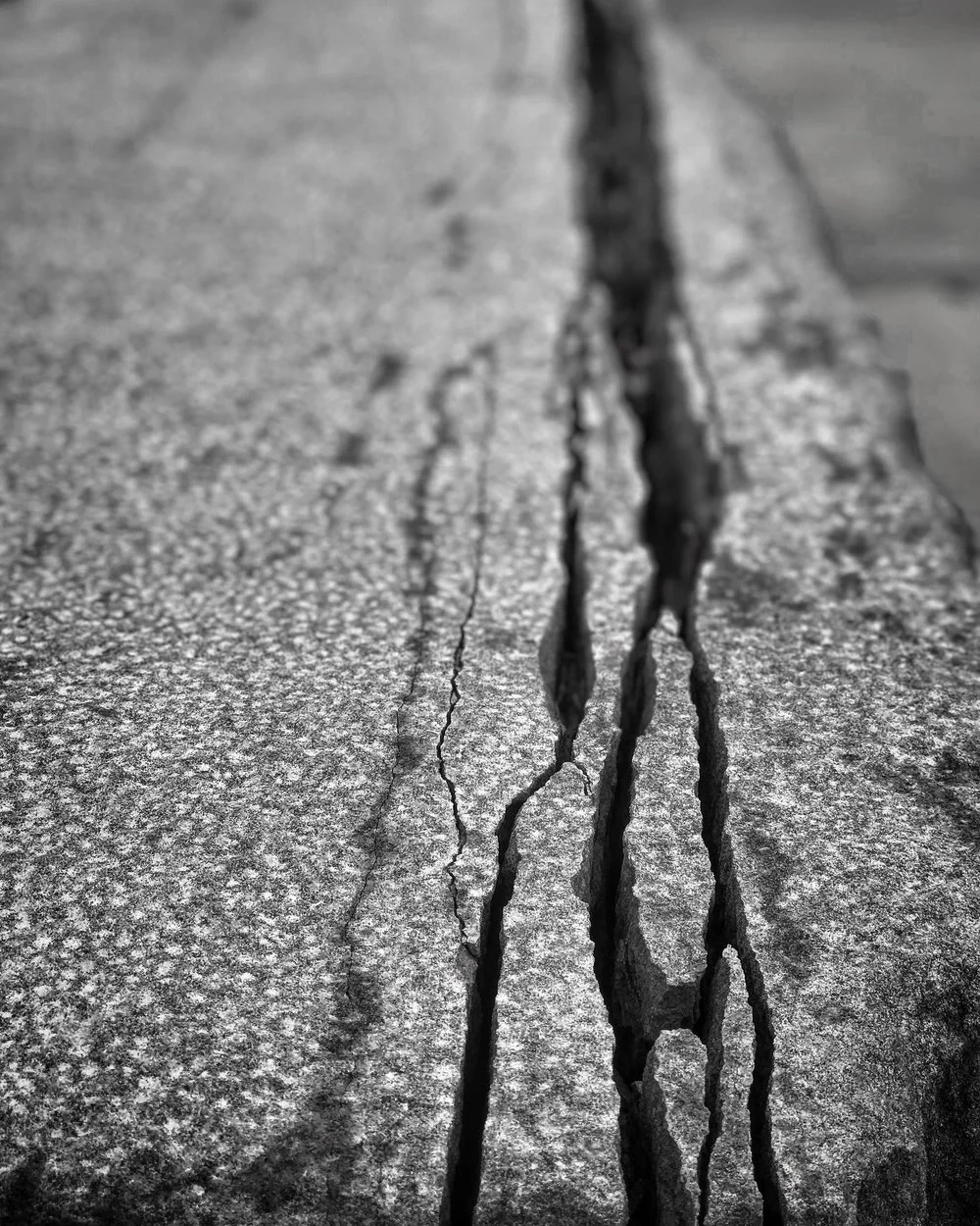 Nina Elder: The Score 