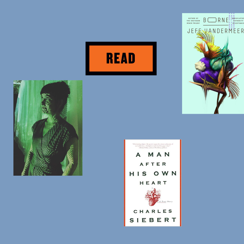 Read with Alison Hiltner