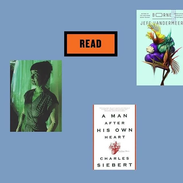 READ: As part of our new &lsquo;New Ways To&rsquo; series, I/C artists share their Reading Lists of the books (and movies and music and podcasts) they&rsquo;re spending time with at home. This week, Signal artist @alisonhiltner shares books, film, tv, and music &mdash; VanderMeer, Picard, Parasite, and more 📚🏘📺