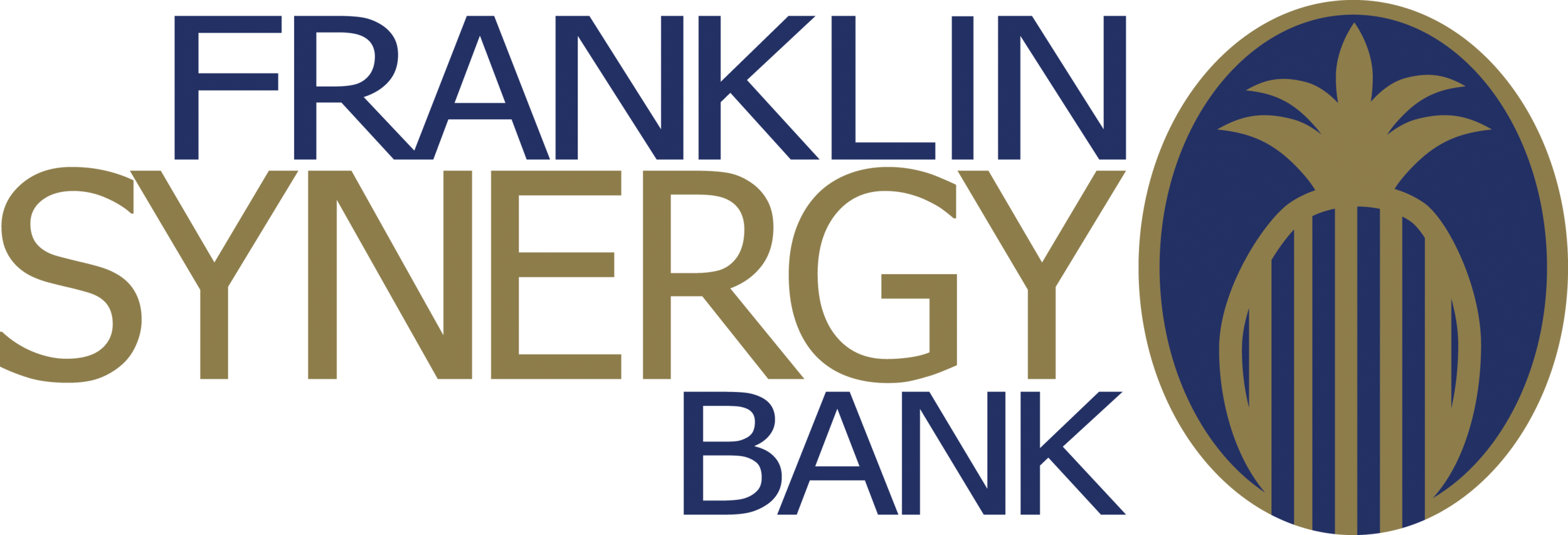 Franklin Synergy Bank Master Logo.png