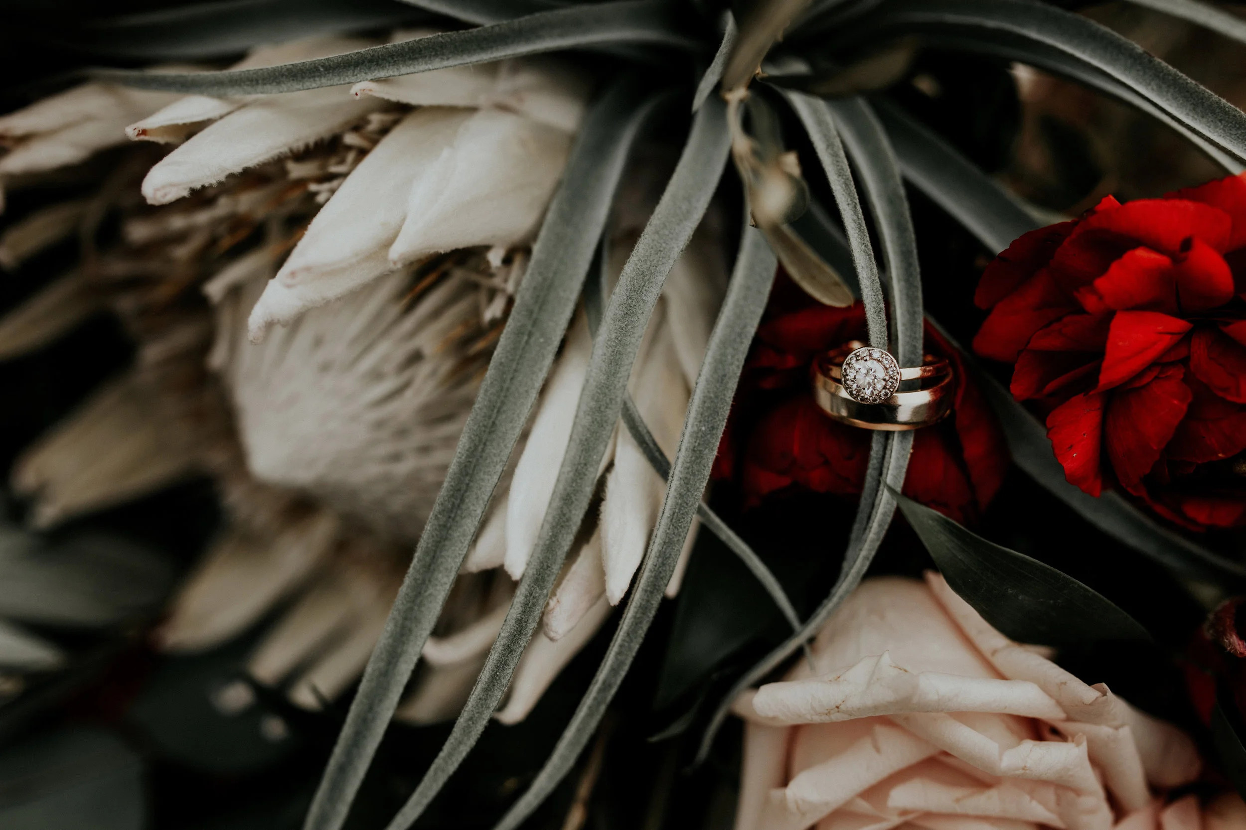 TeganJayPhotography_0211.jpg