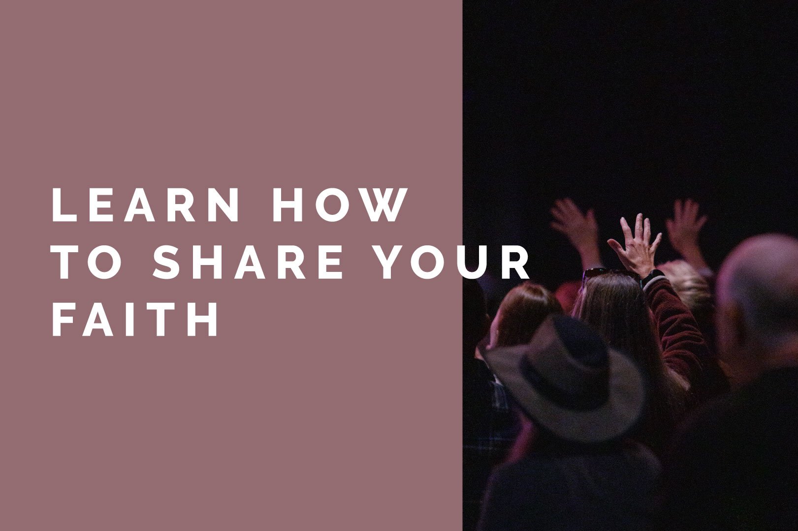 The Search: Formation Series 