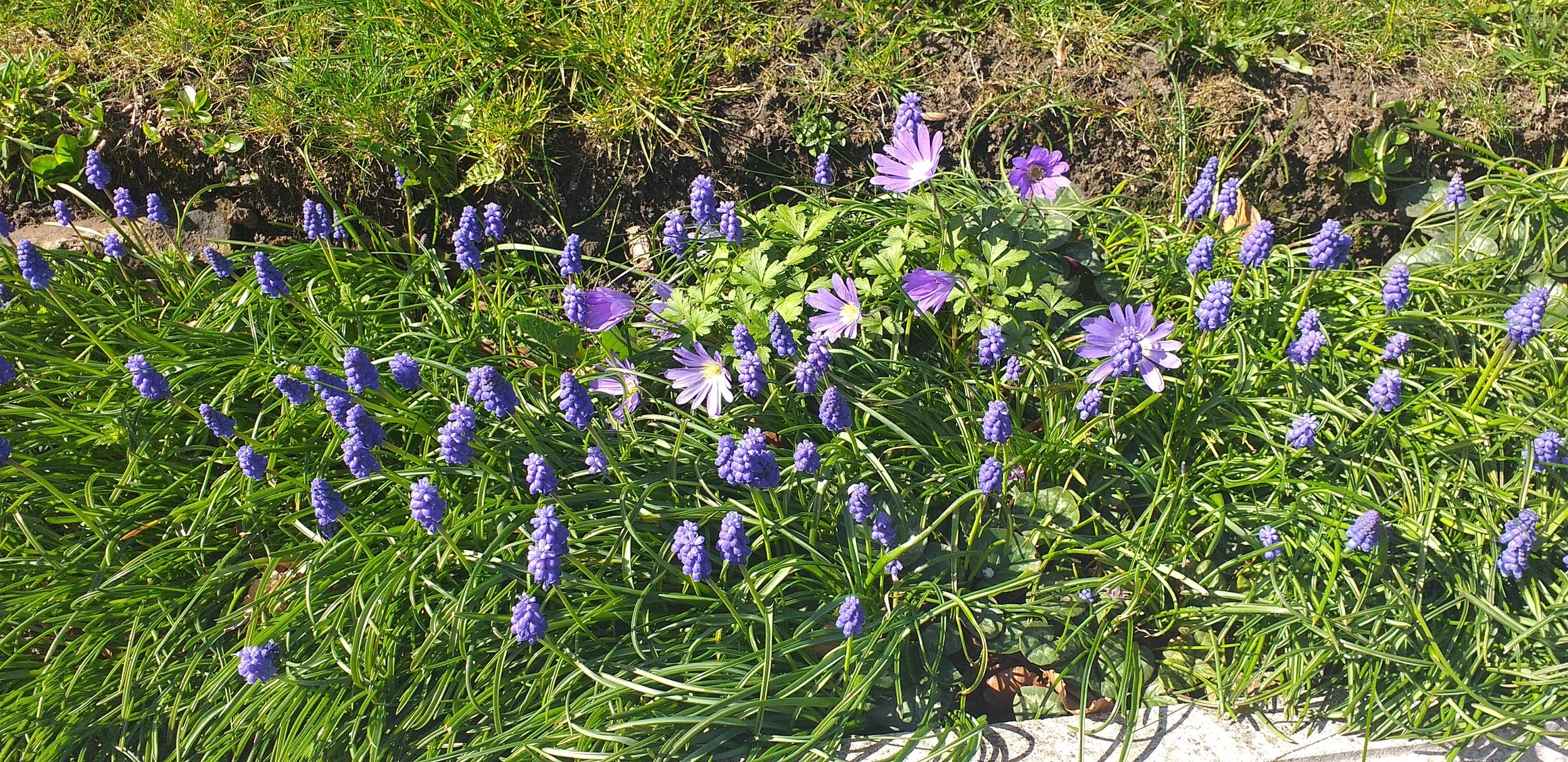 20190325_112349.jpg