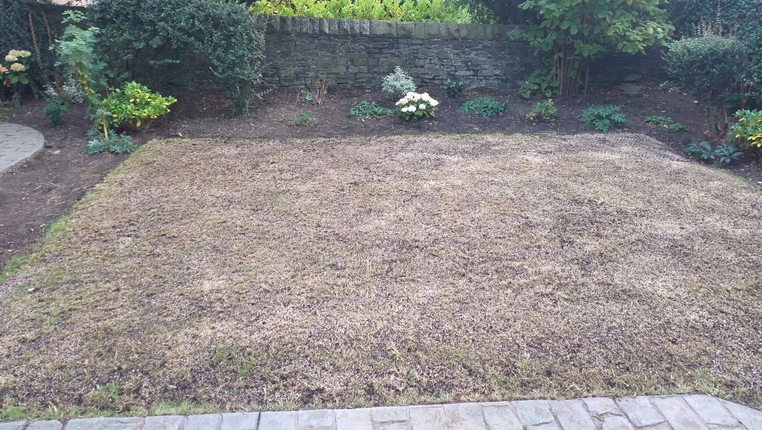 20190918_182722.jpg