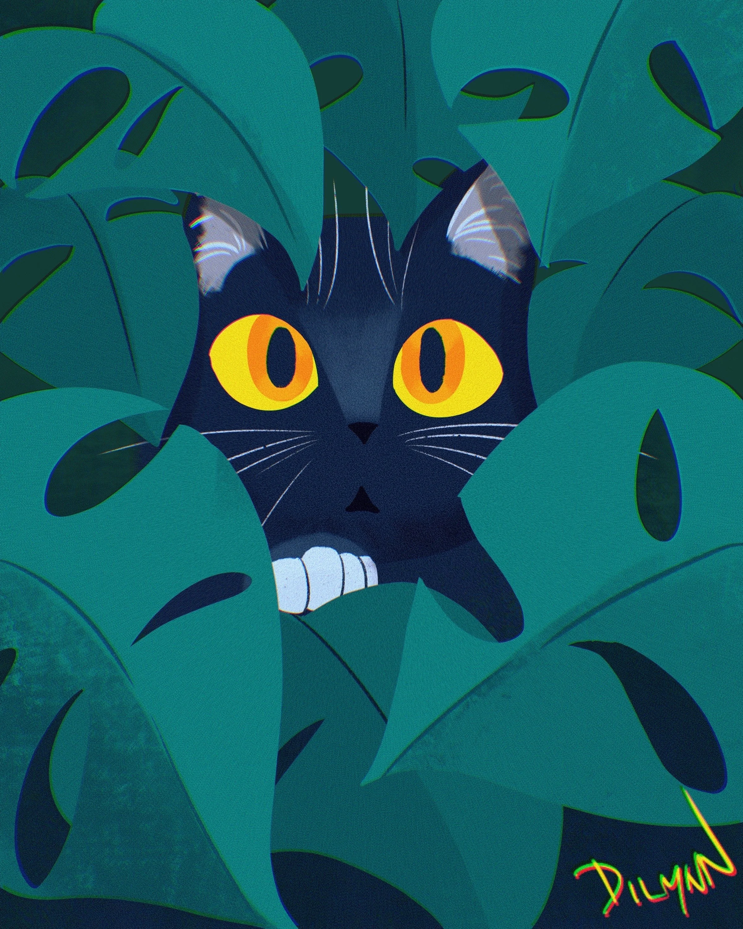 My Cat
