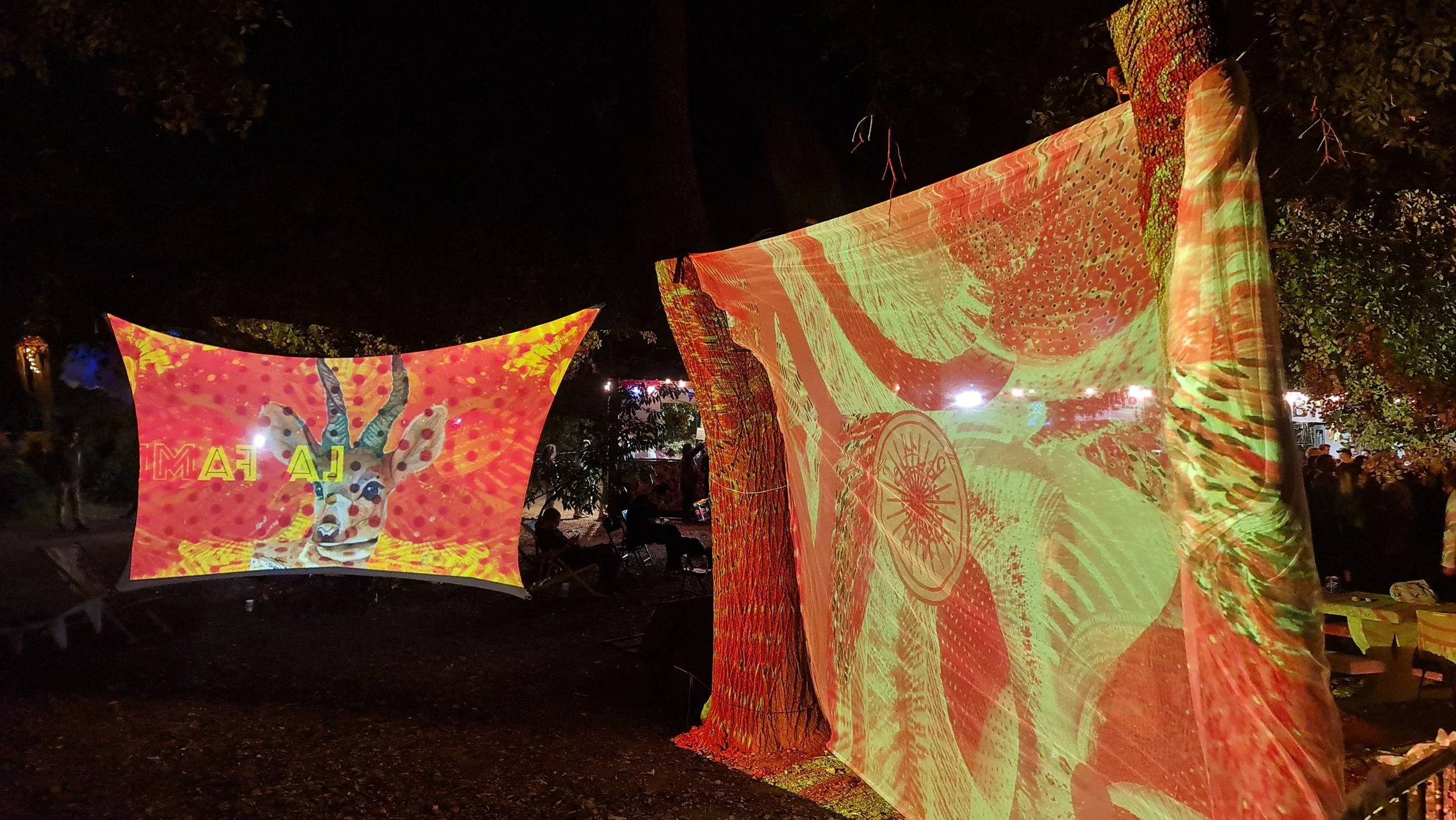 deco la fameuse scene public samedi soir projections 4.jpg