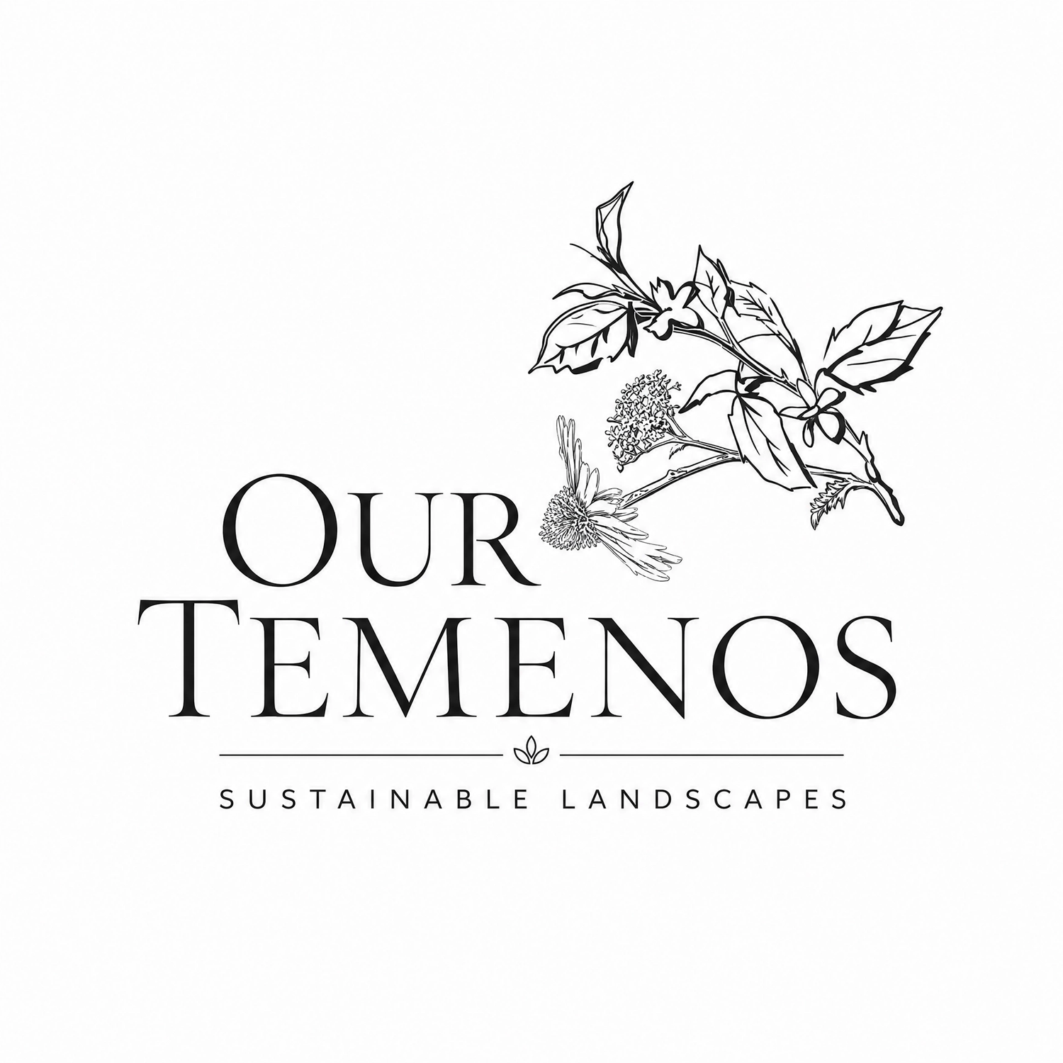 OUR TEMENOS