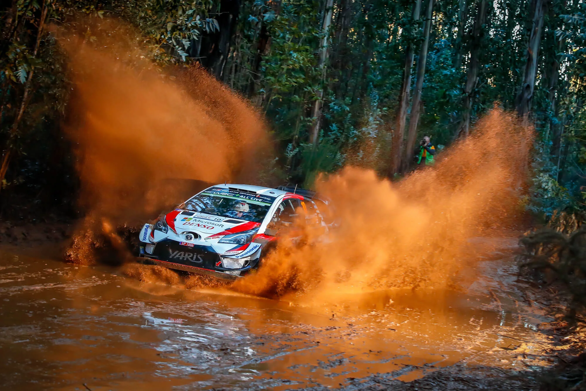 WRC_2019_Rd6_113 (002).jpg