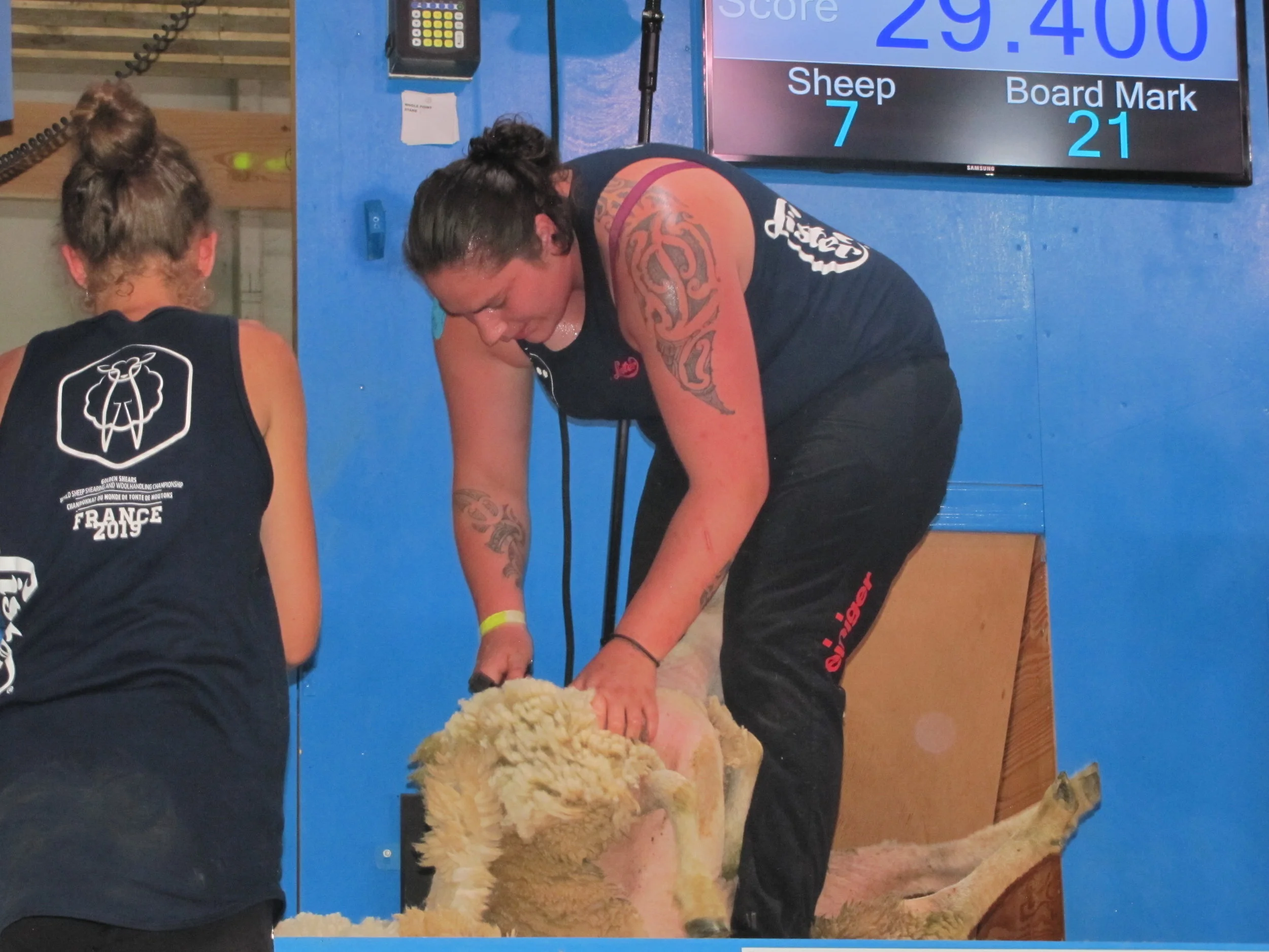Mixed results for Kiwis on shearing champs’ opening day