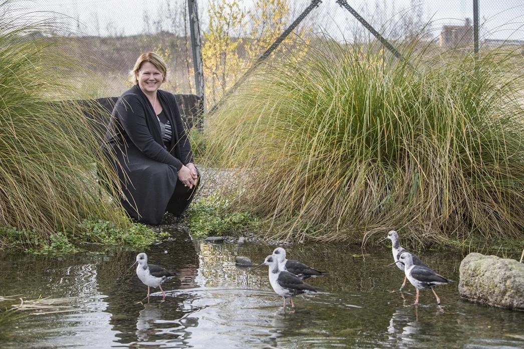 UC conservation geneticist comments on new DOC Biodiversity Strategy