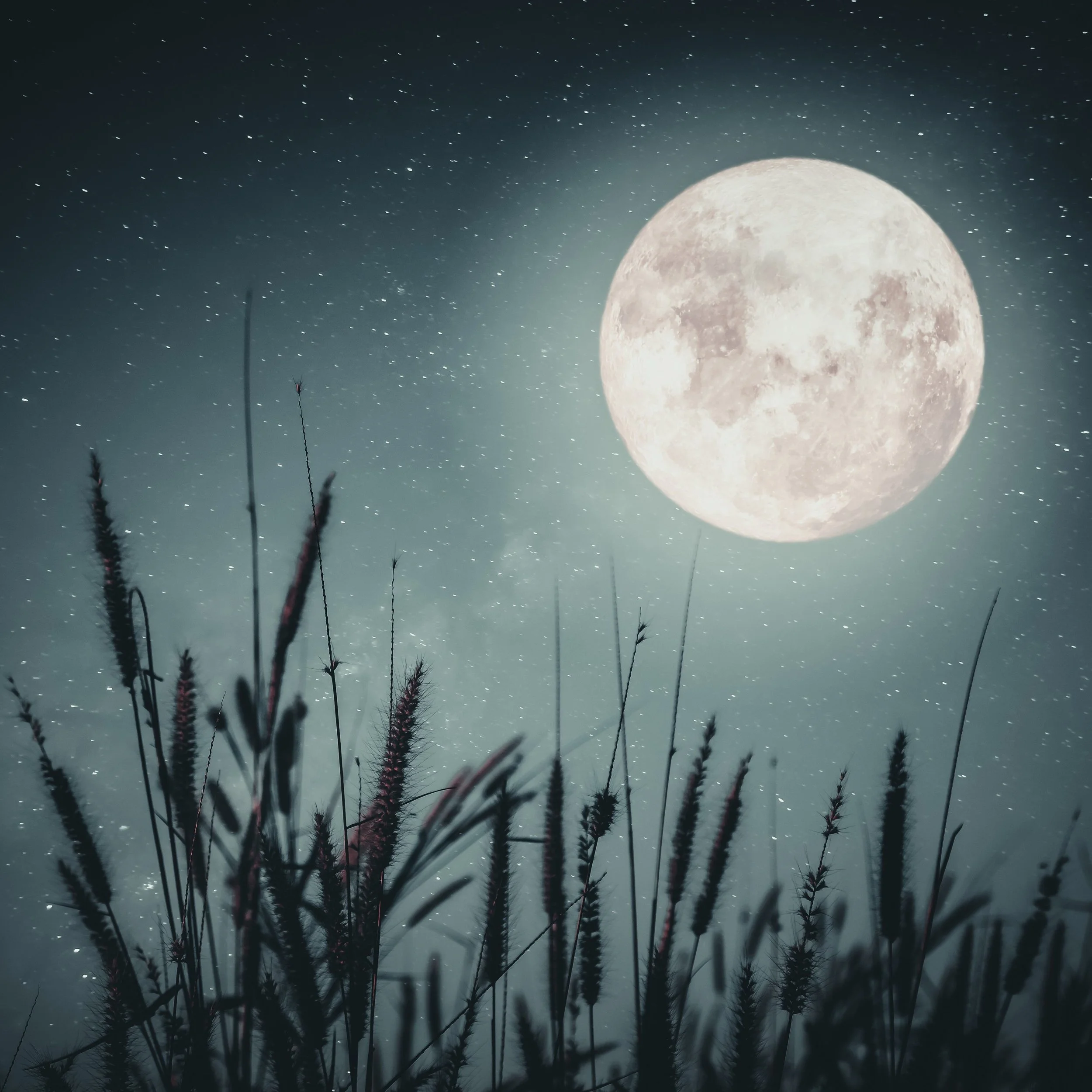 At the core of the 35 Day Detox is the Lunar Cycle