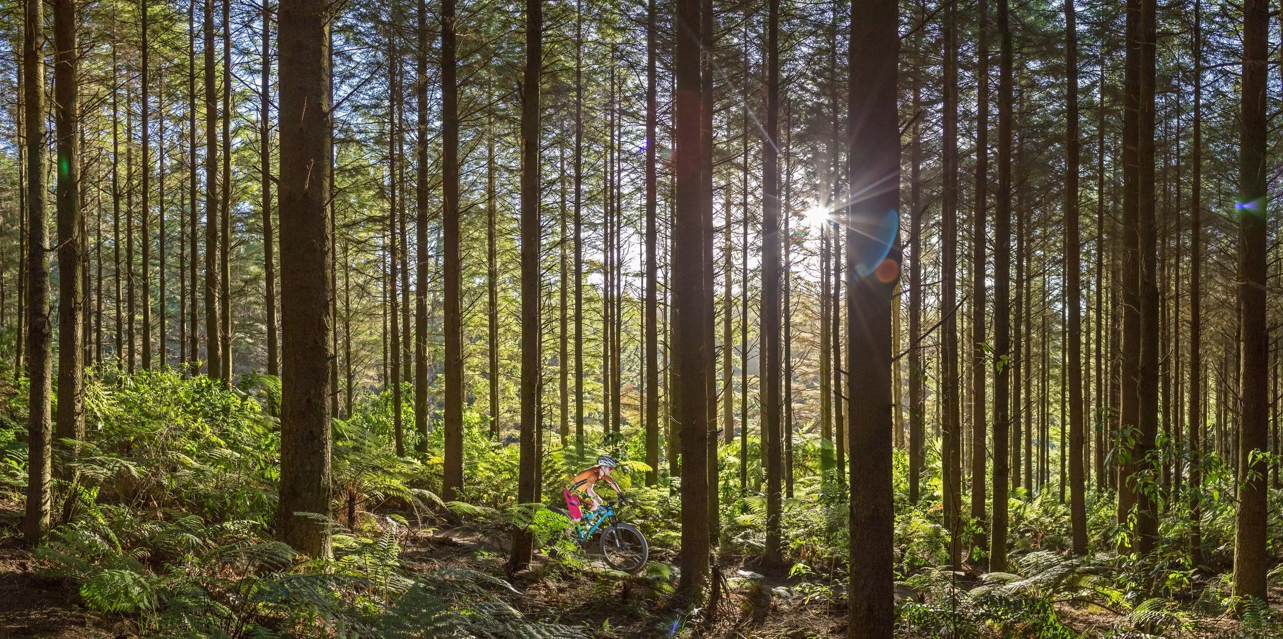 Rotorua retains its gold-level mountain biking status