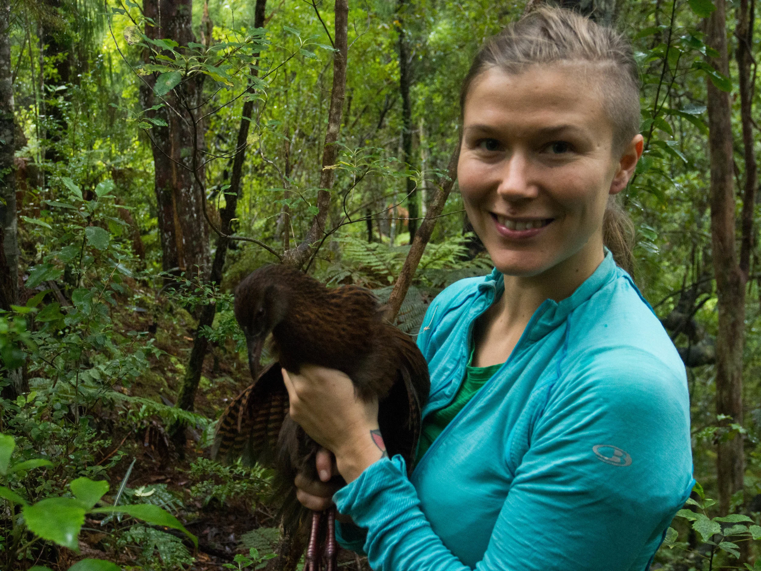 University of Canterbury doctoral candidate Jo Carpenter on Ulva Island, off Rakiura/Stewart Island, holding a weka. Photo Credit University of Canterbury