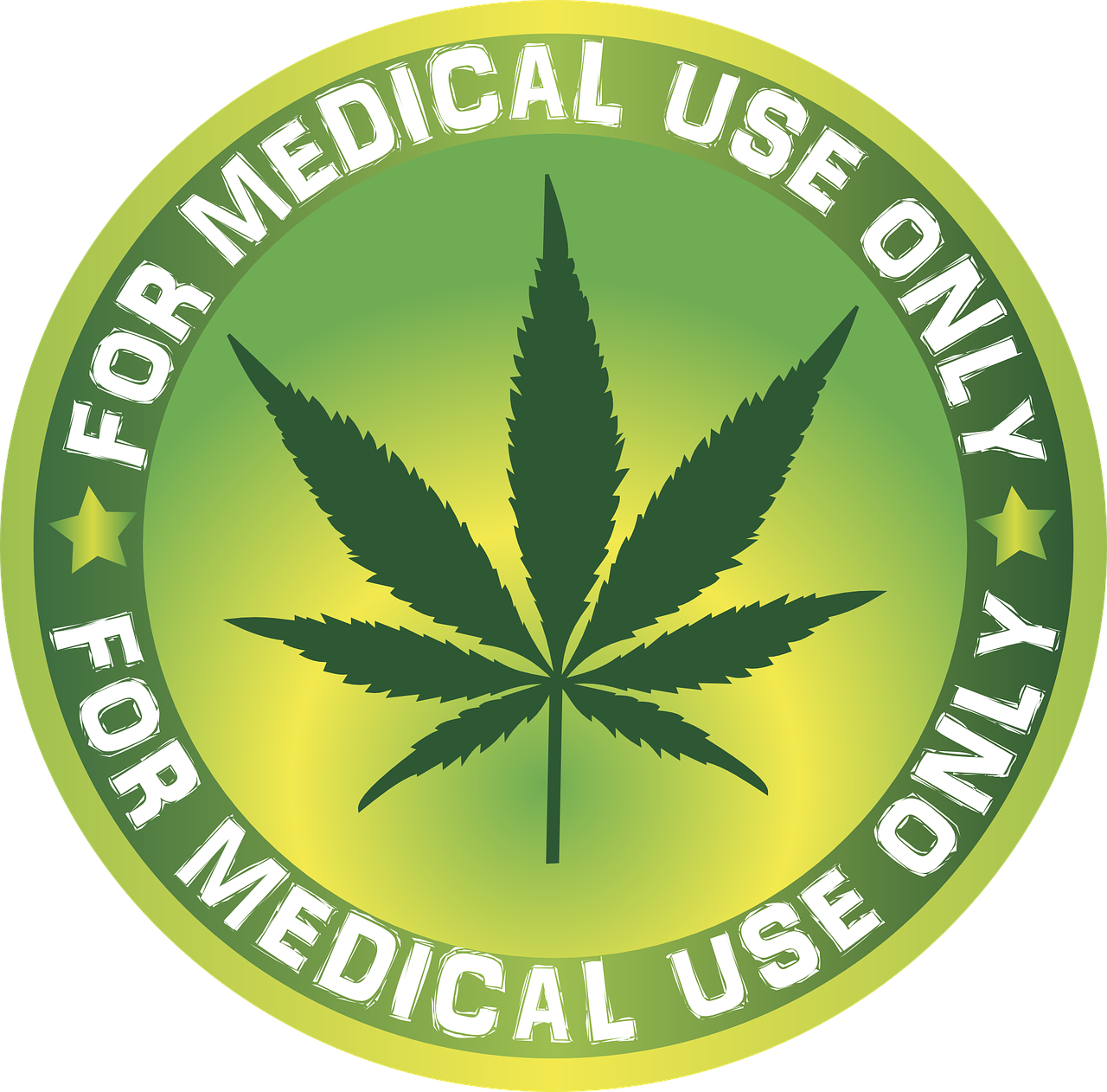 MedCan2020 will help launch Kiwi medical cannabis industry