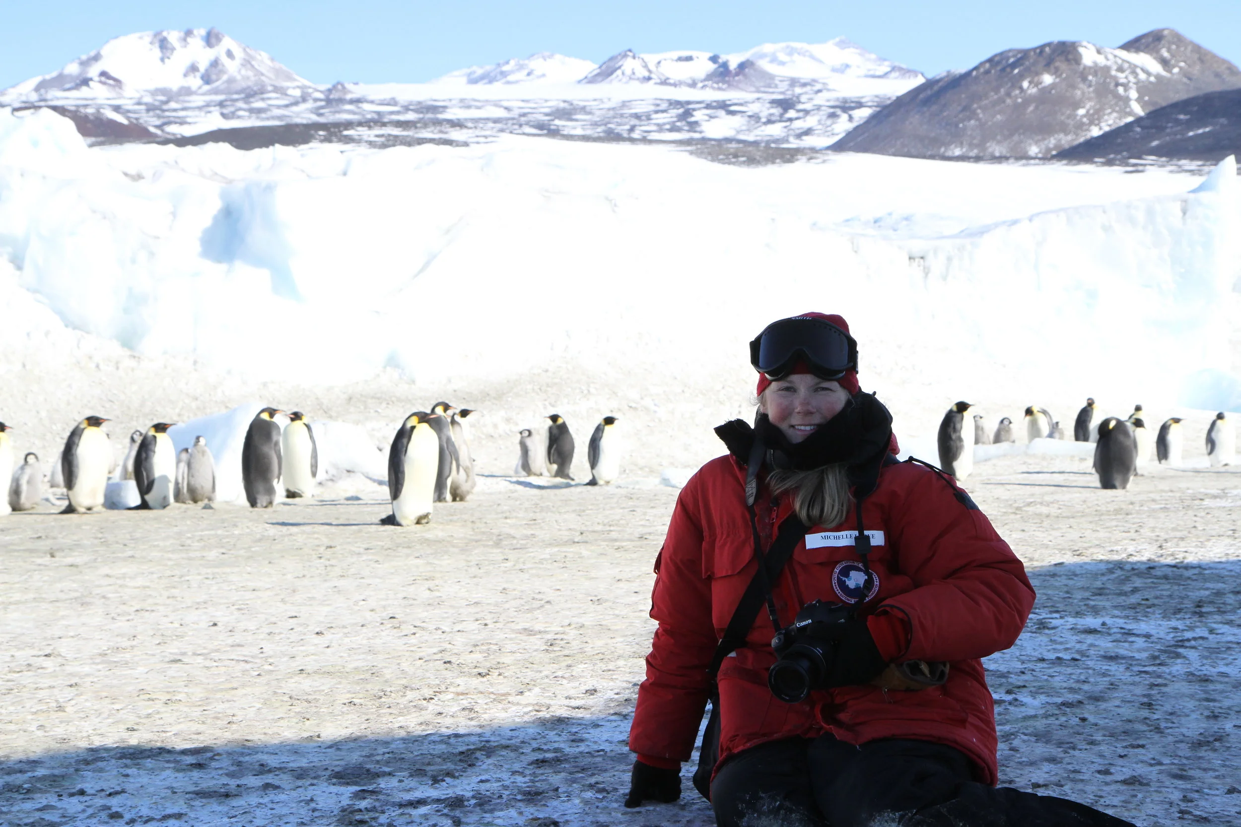 Without Paris Accord, emperor penguins are in dire straits: new study