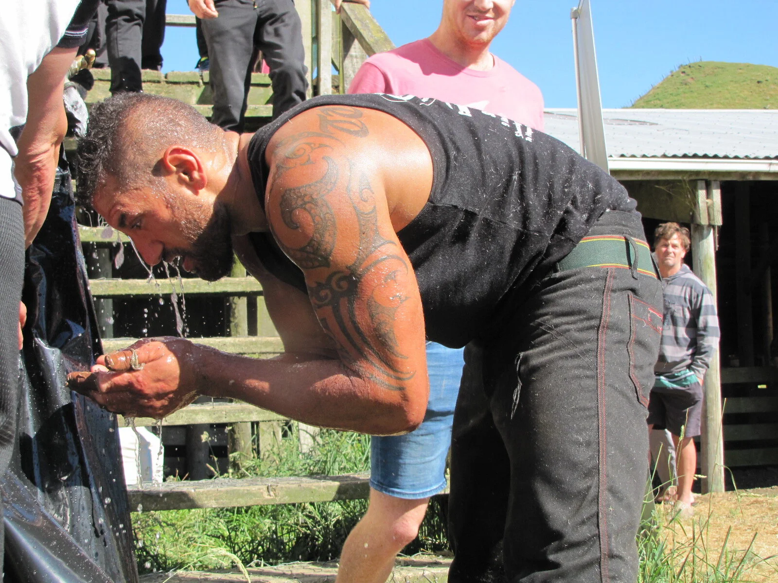 Te Huia's shearing record bid from the heart