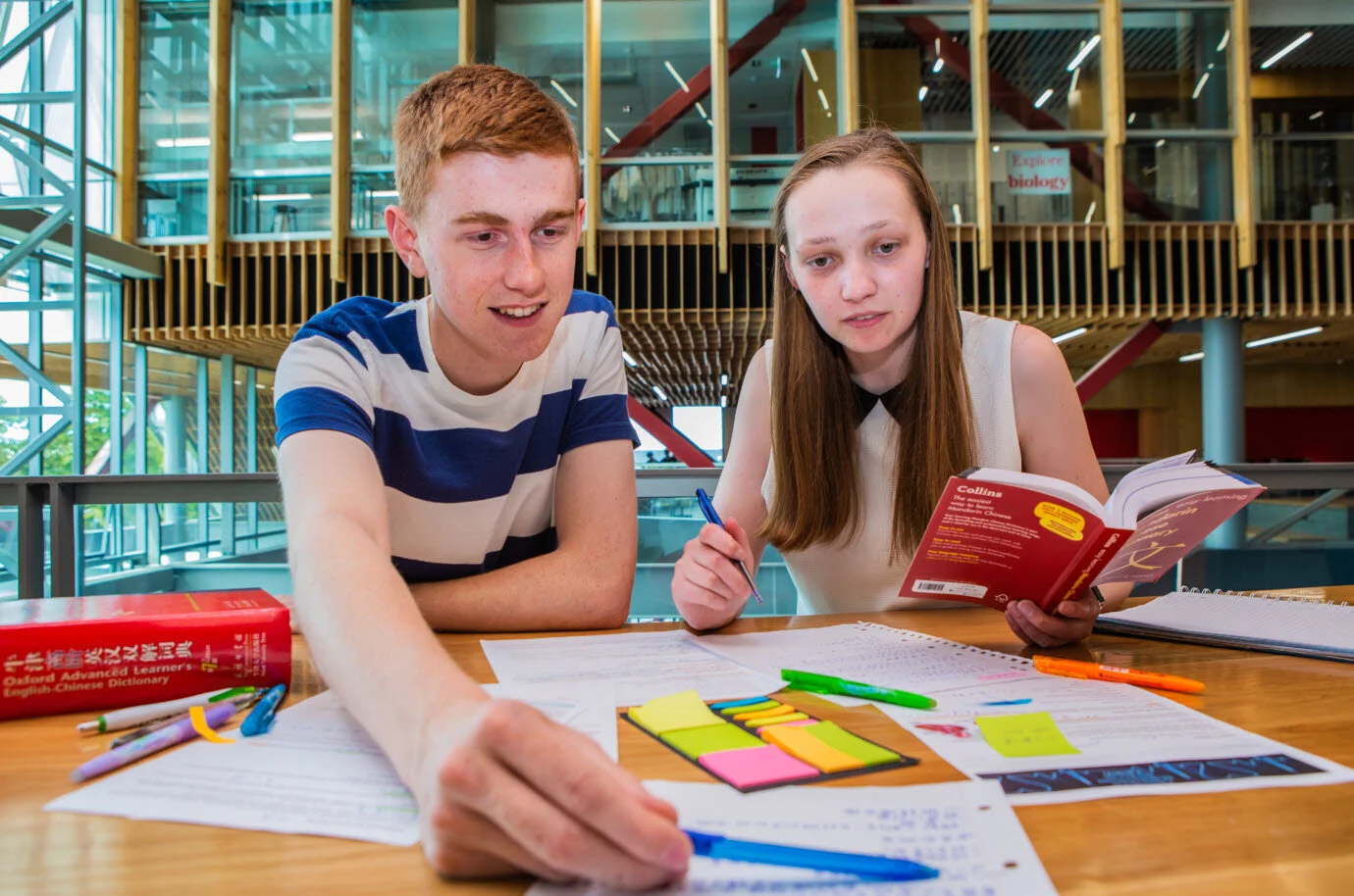 UC launches South Island translation Master’s degree 