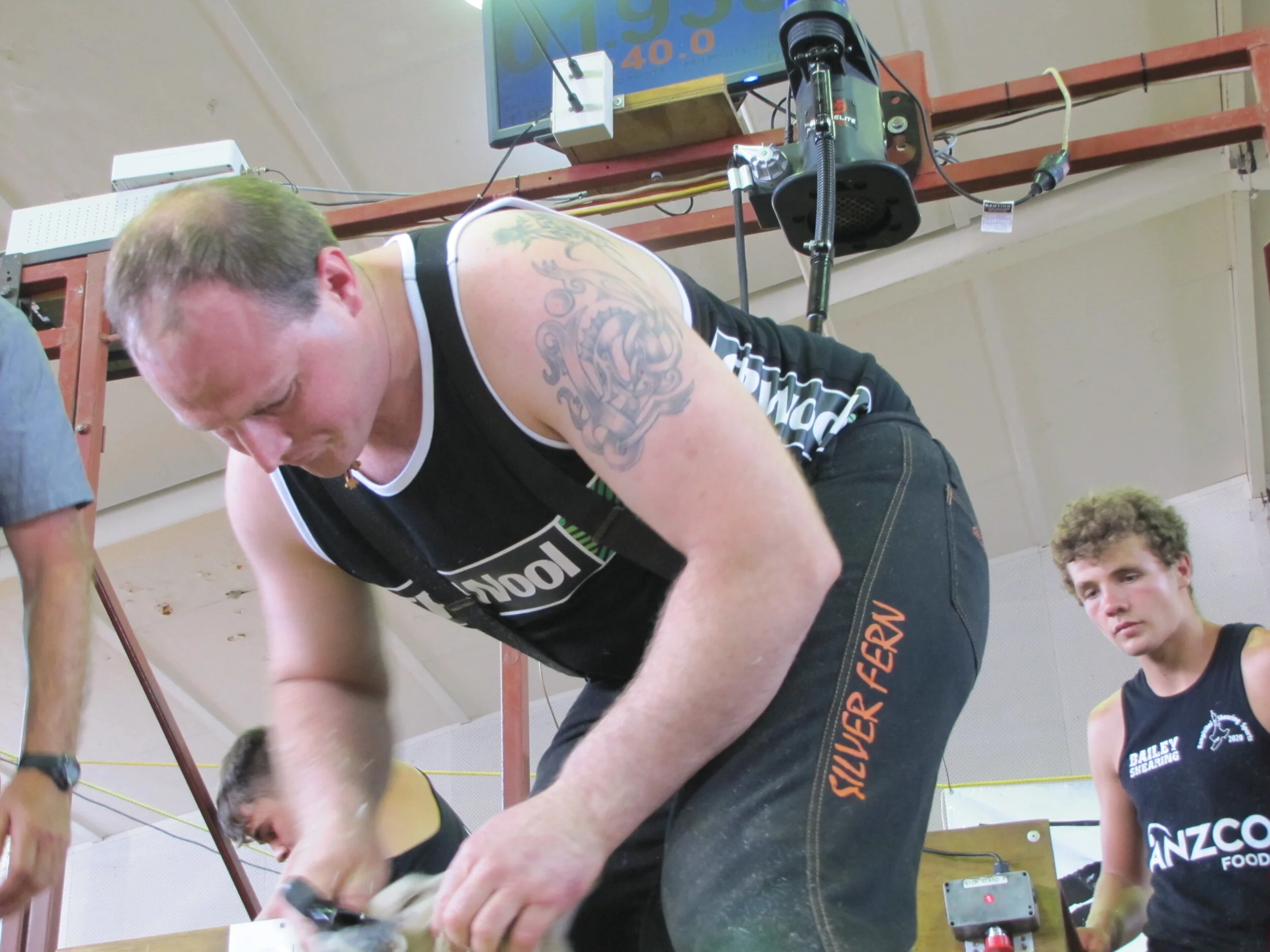 NZ teams dominate development shearing series
