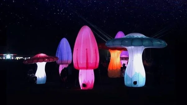 NPDC’s TSB Festival of Lights set for massive season