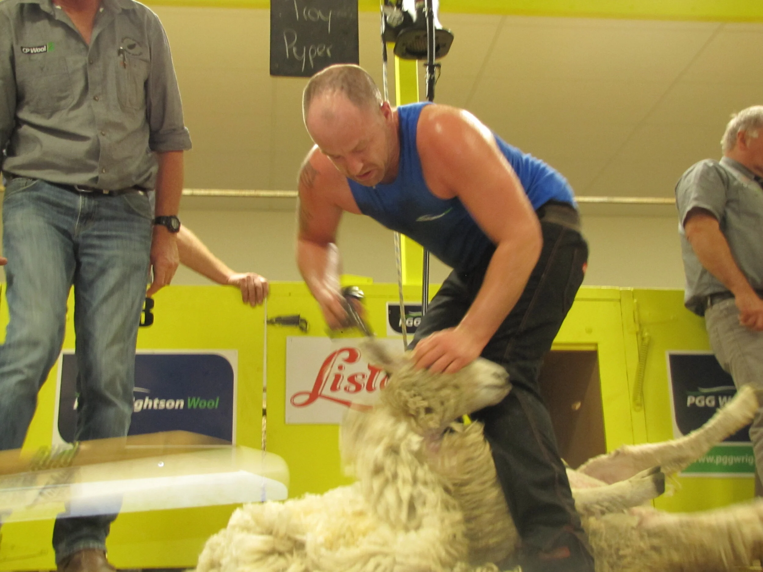 National title to shearer Troy Pyper