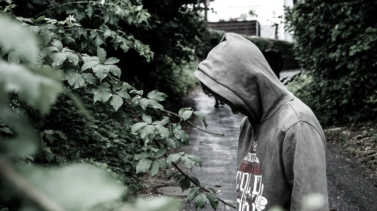 Teen suicide rates linked to zinc malnutrition; nutrition review needed