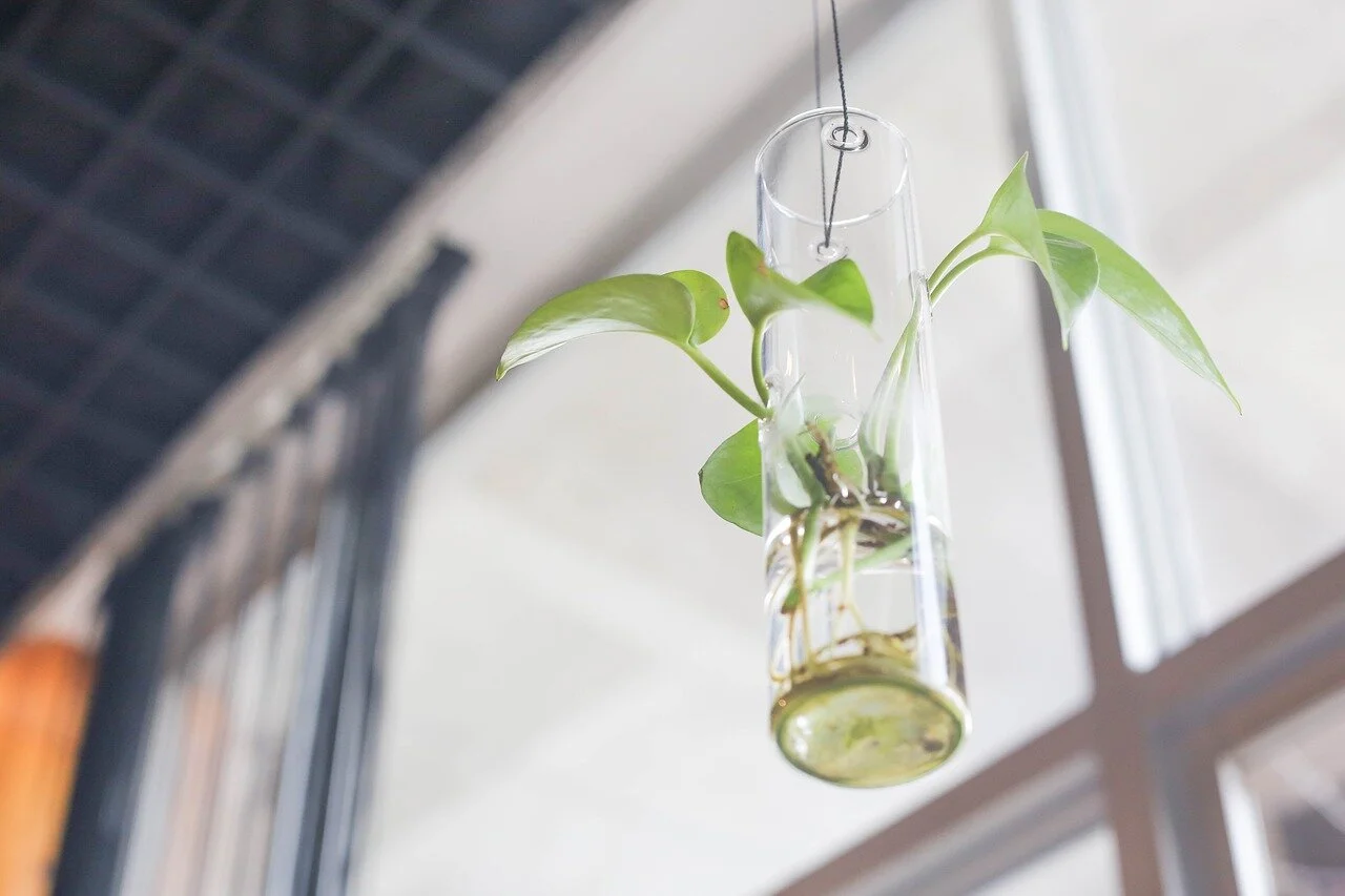 NZ biotech can solve global environmental and health challenges