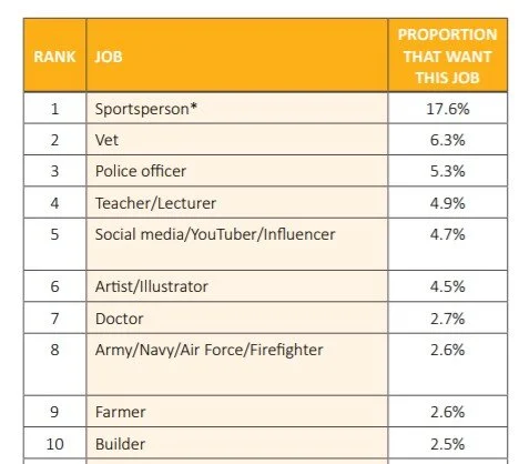 Most Kiwi kids want to be sportsperson; then a vet, police officer, teacher
