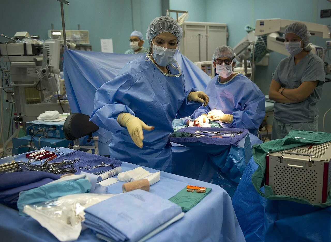 Digital solutions should help drive new public health system: NZHIT