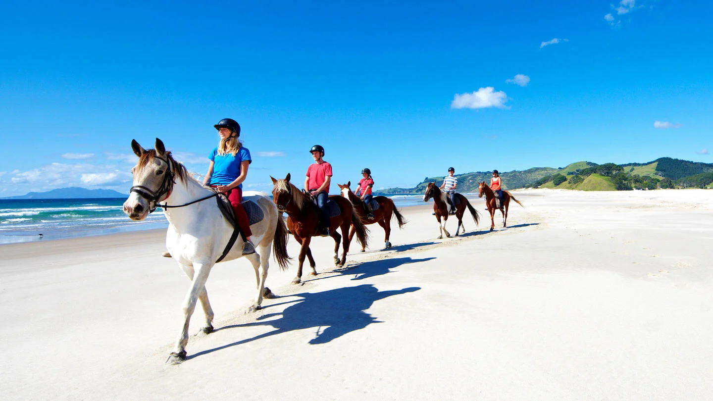 Will Auckland support the pillaging of Pakiri sand?