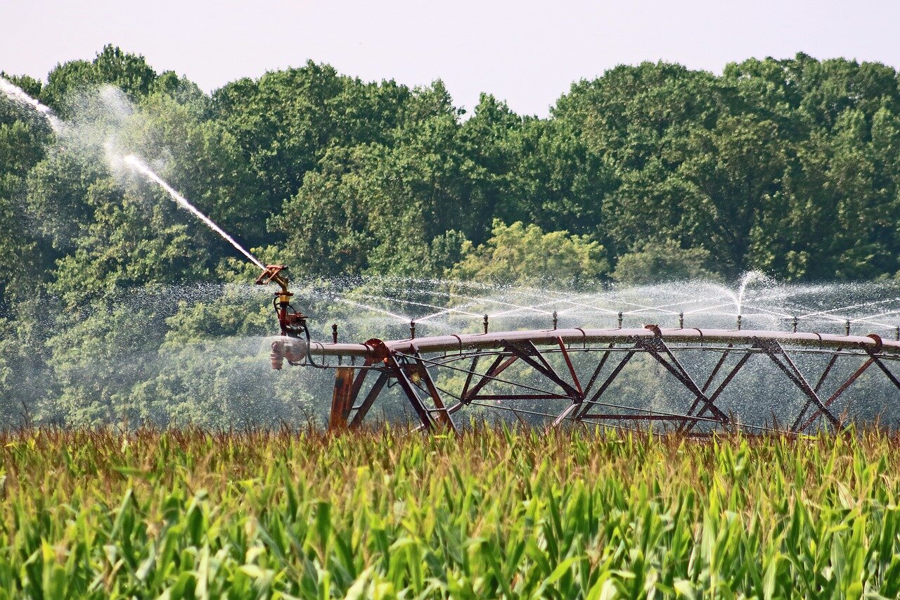 Plant science and water - key to the world’s future