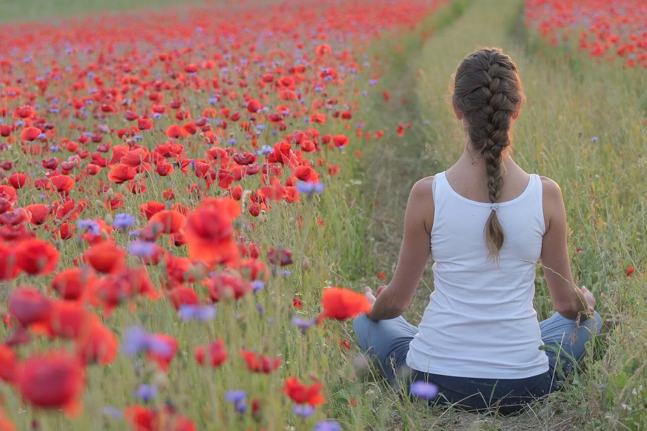 Yoga NZ links with High Commission of India in NZ 