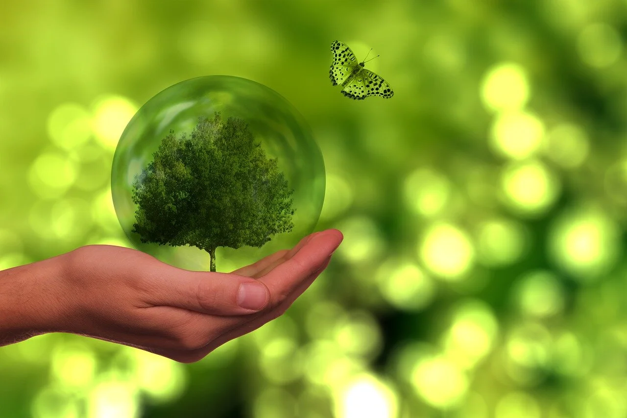 Most Kiwis prepared to change retailers for sustainability