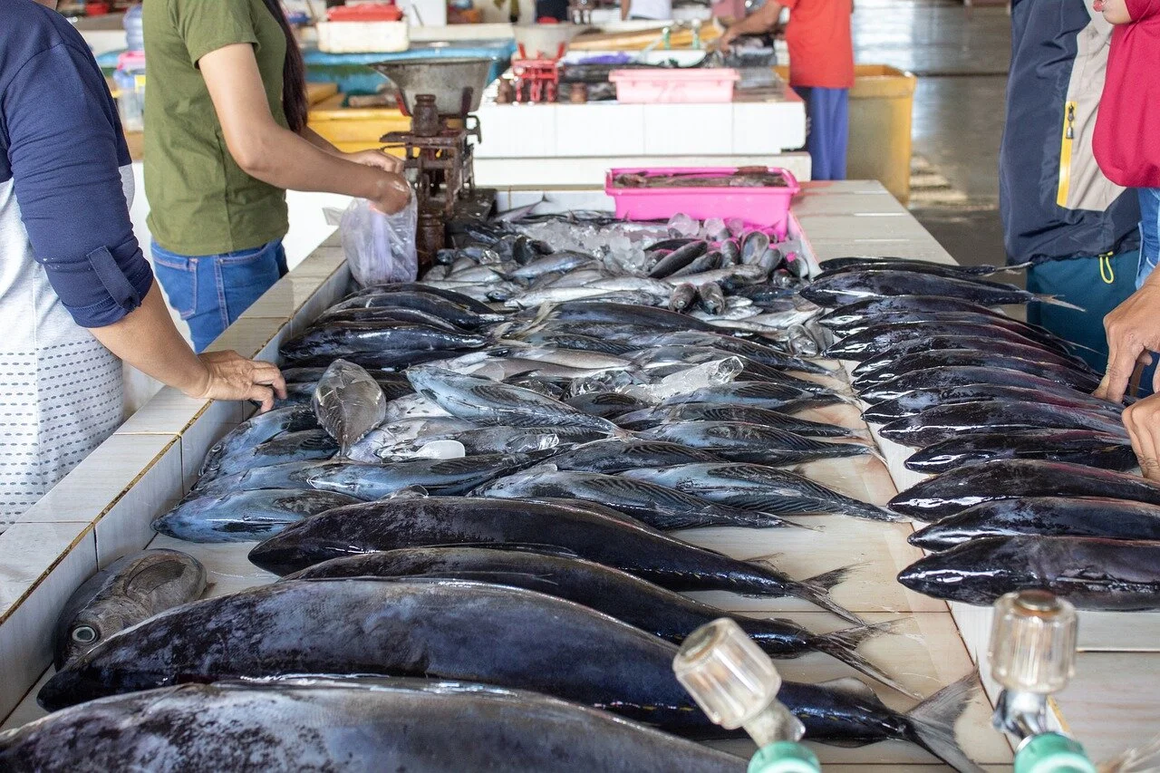 Fishing communities responding &nbsp;to climate change