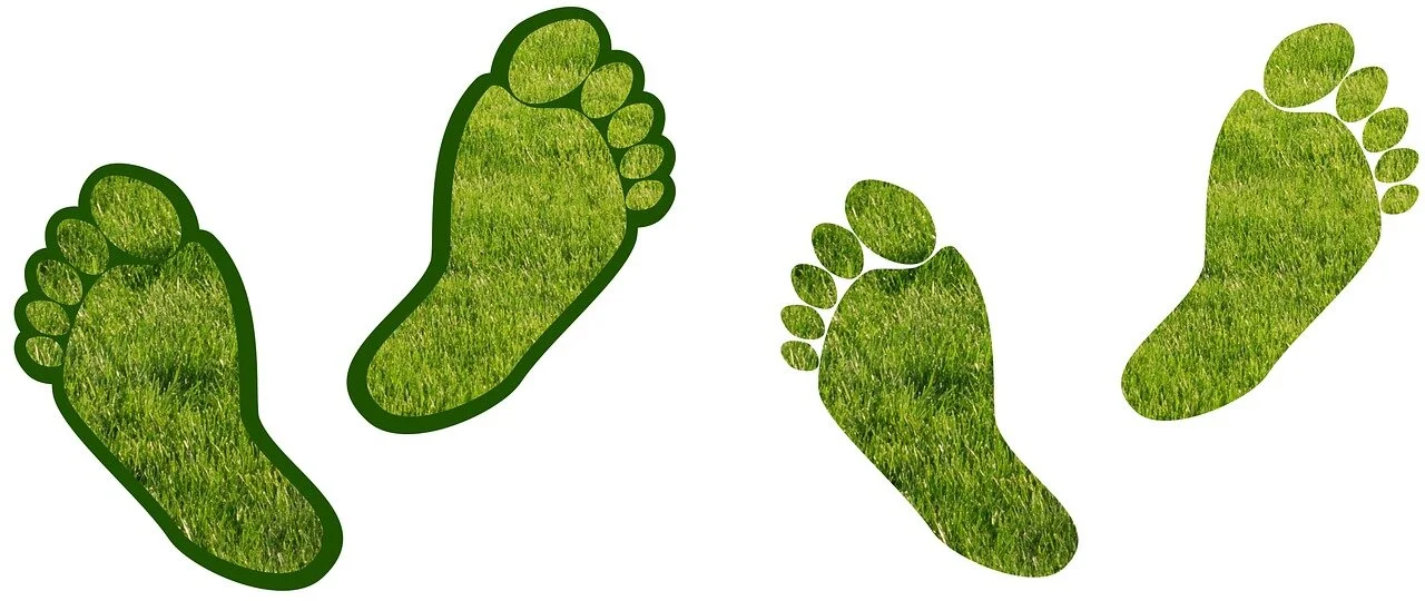 How to reduce our carbon footprint  &nbsp;