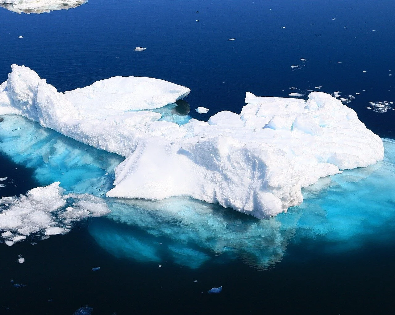 Antarctic waters warming, impacting plankton community