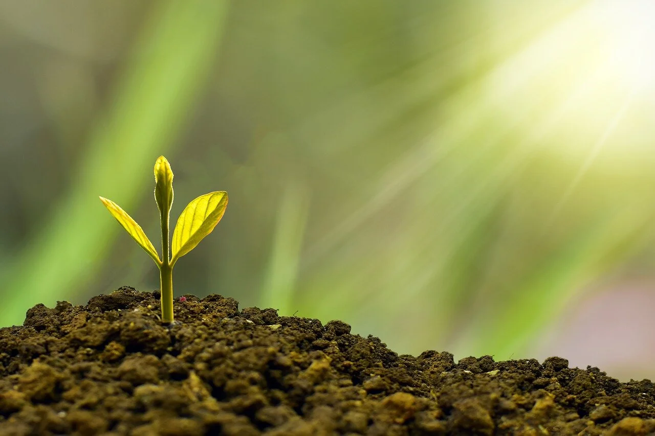 Critical thinking, problem-solving key to new green economy &nbsp;  