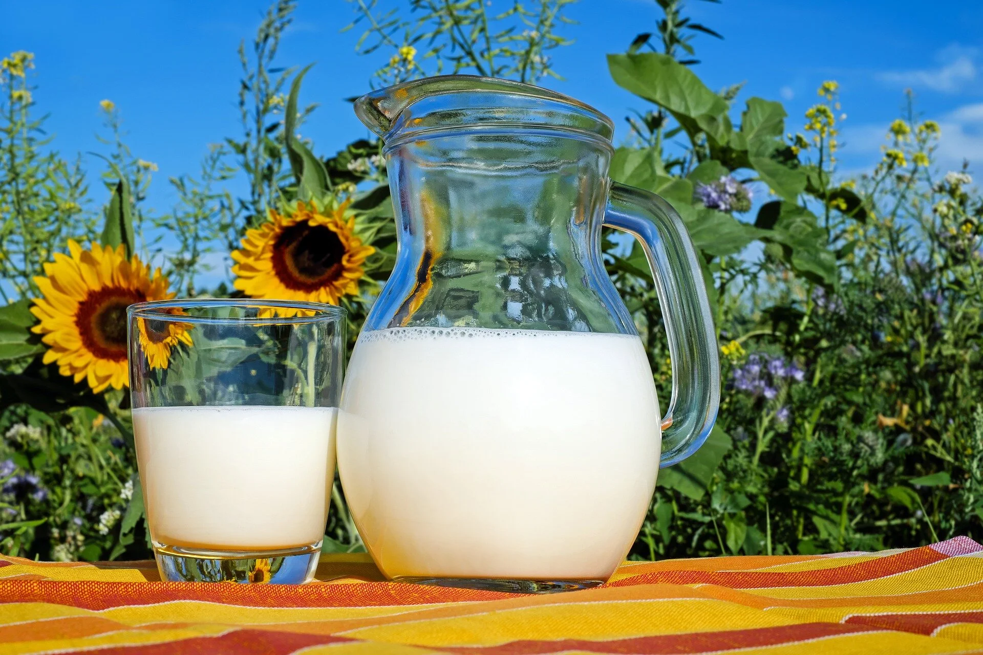 One in three Brits drink plant-based milk