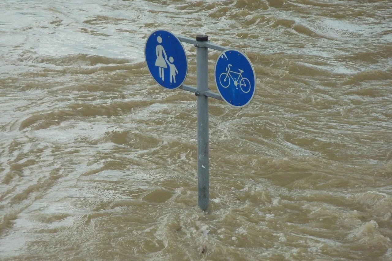 Aotearoa likely to see significant changes to climate approach