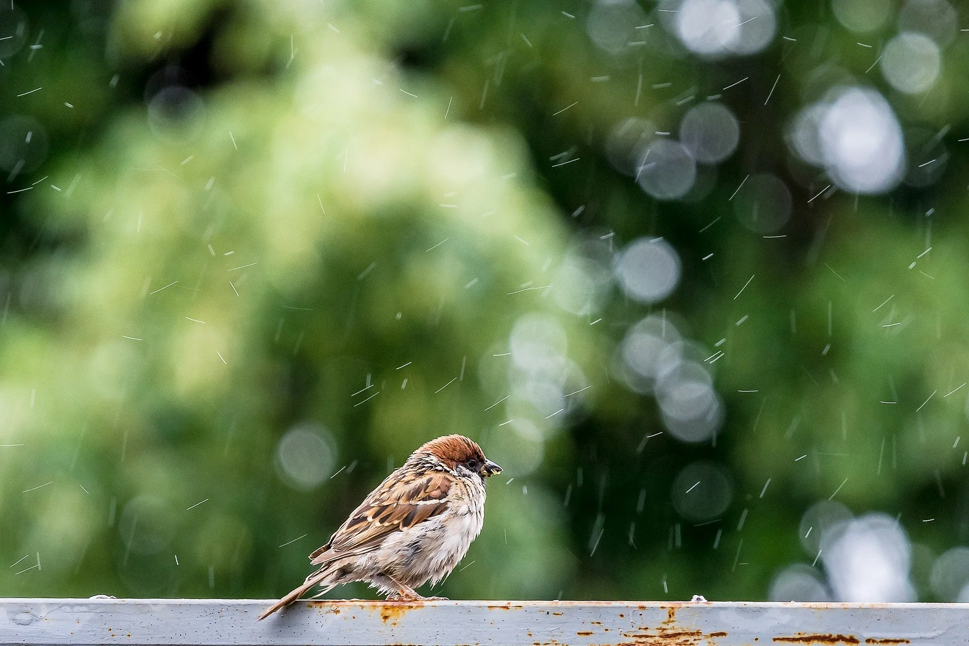 Climate attitudes need to change in NZ