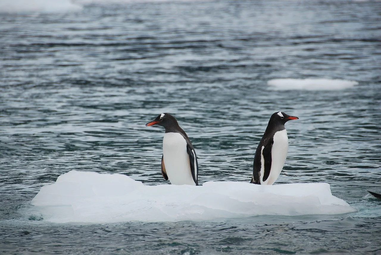 Antarctic science underpins urgency for climate action